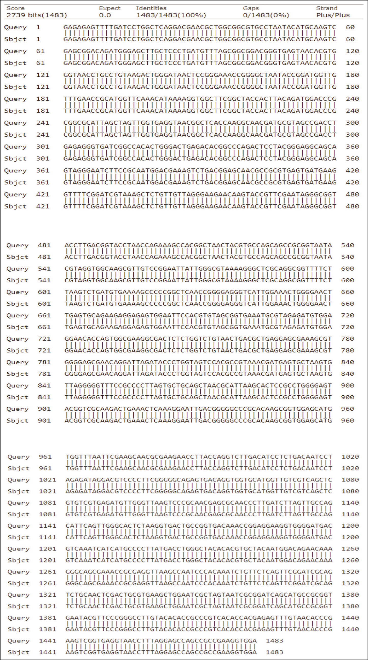 The homology of partial DNA sequences of the 16S rRNA gene of the bacterial strain isolated from Salty water, Jazan, KSA (code S) and the corresponding gene of Bacillus subtilis strain (accession number KU229984).