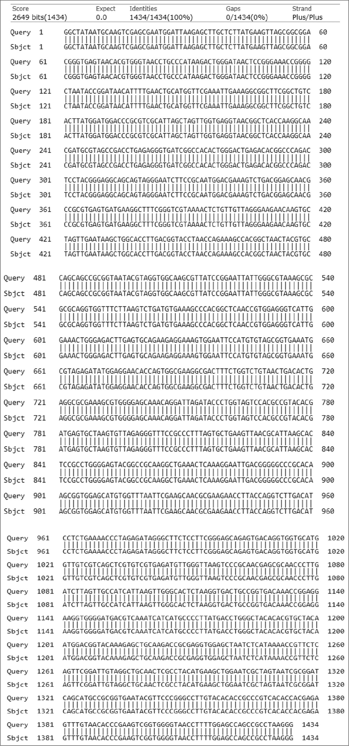 The homology of partial DNA sequences of the 16S rRNA gene of the bacterial strain isolated from Farasan Island sea water, Jazan, KSA (code W) and the corresponding gene of Bacillus cereus strain (accession number KJ534410).