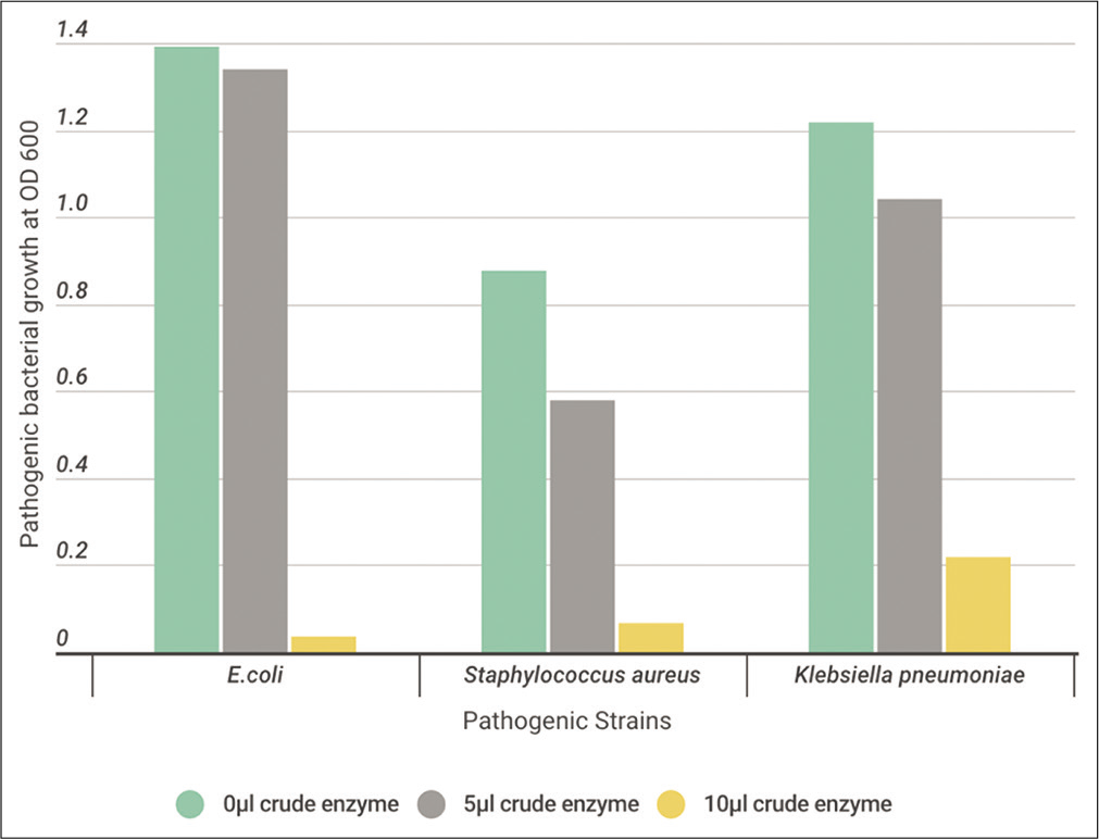 The effect of different volumes (0, 5, and 10 μl) of crude protease enzyme extracted from Bacillus subtilis on the pathogenic strains.