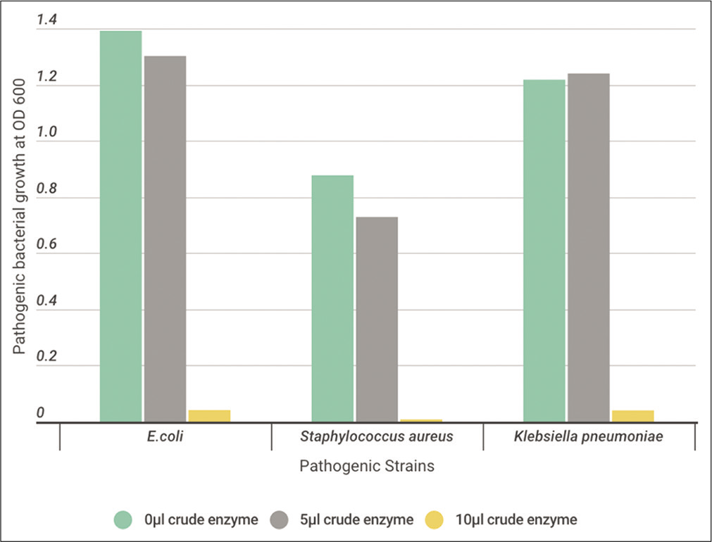 The effect of different volumes (0, 5, and 10 μl) of crude protease enzyme extracted from Bacillus licheniformis on the pathogenic strains.