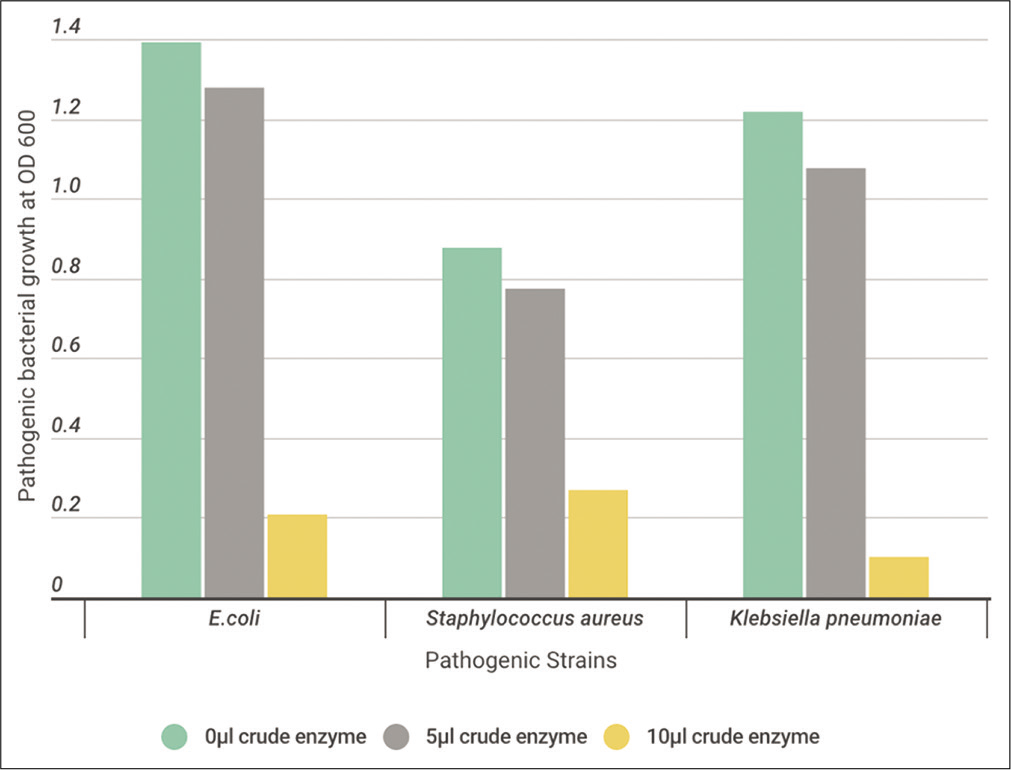 The effect of different volumes (0, 5, and 10 μl) of crude protease enzyme extracted from Bacillus cereus on the pathogenic strains.